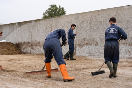 Lavoro di squadra Operatore Agricolo - allevatore