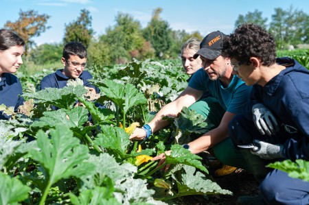 Processi di raccolta e lavorazione primaria dei prodotti agricoli