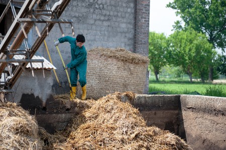 Lavoro all'aria aperta, a stretto contatto con la natura e gli animali