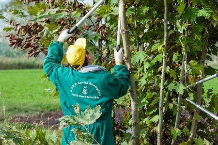 Ragazzo in tuta verde e cappello giallo che pota i rami della pianta con le cesoie