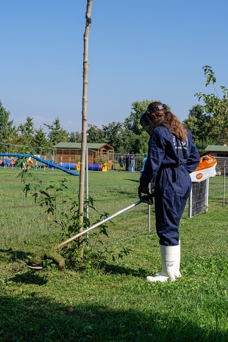 Ragazza con deciespugliatore elettrico che taglia l'erba del prato