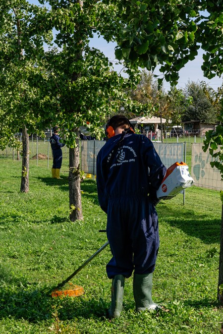 Ragazzo con deciespugliatore elettrico che taglia l'erba del prato
