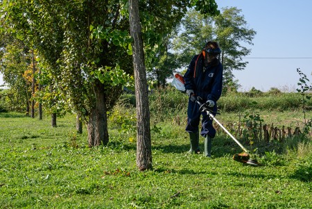 Ragazzo con deciespugliatore elettrico che taglia l'erba del prato