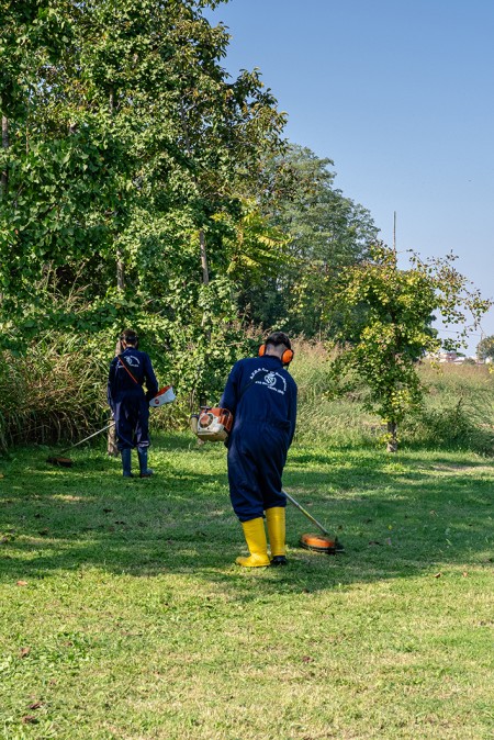 Ragazzi con deciespugliatori che taglia l'erba