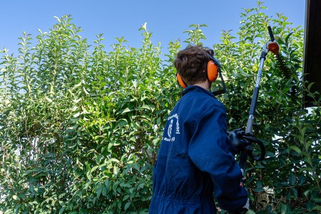 Ragazzo con taglia siepi che taglia la siepe