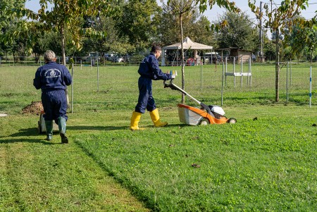 Due ragazzi con tagliaerba nel prato